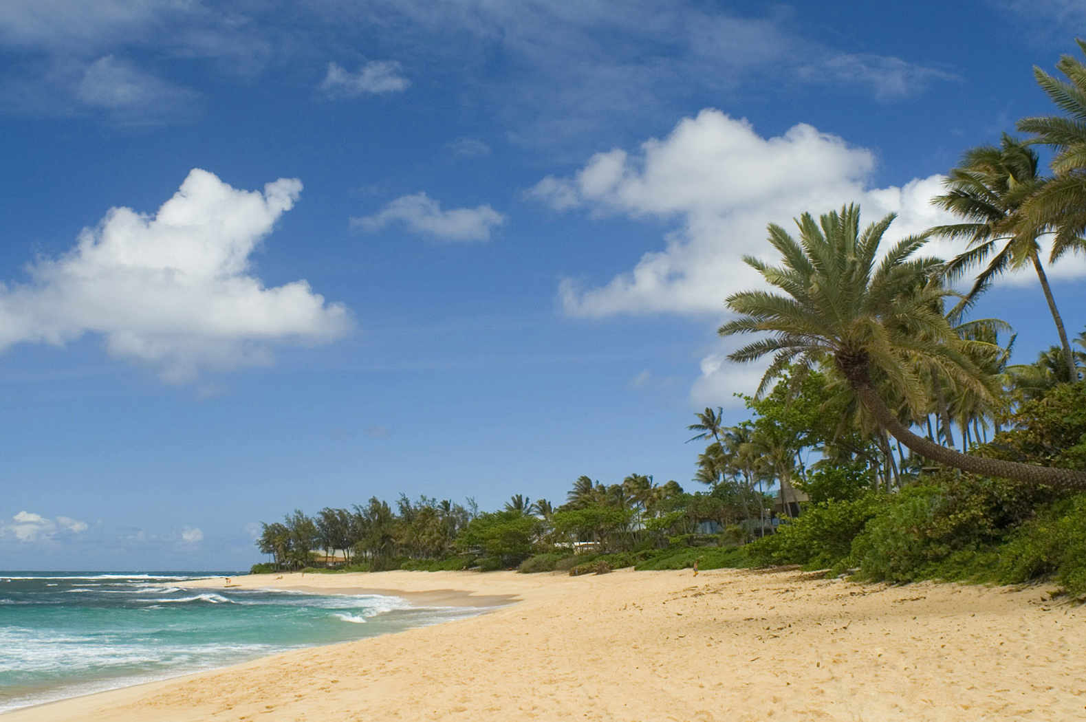 Ross Island - Netaji Subhash Chandra Bose Island