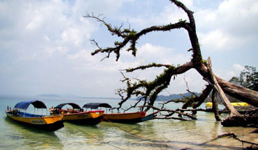 Elephanta Beach, Andaman Oasis