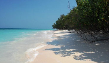 Radhanagar Beach, Andaman Oasis