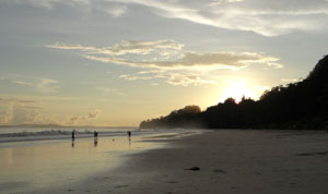 Radhanagar Beach, Andaman Oasis
