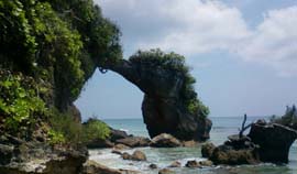 Coral Rock Formation, Andaman Oasis