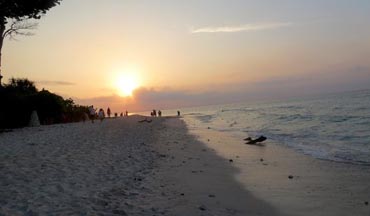 Laxmanpur Beach, Andaman Oasish
