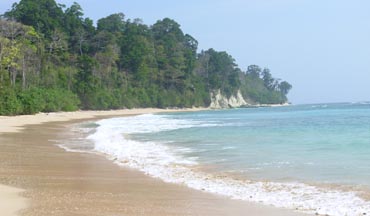 Sitapur Beach, Andaman Oasis