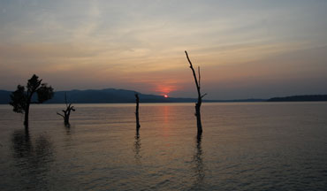 Chidiyatapu, Andaman Oasis