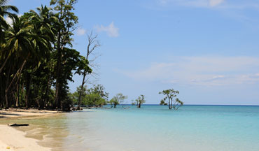 Lalaji Bay, Andaman Oasis
