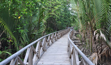 Dhaninallah, Andaman Oasis